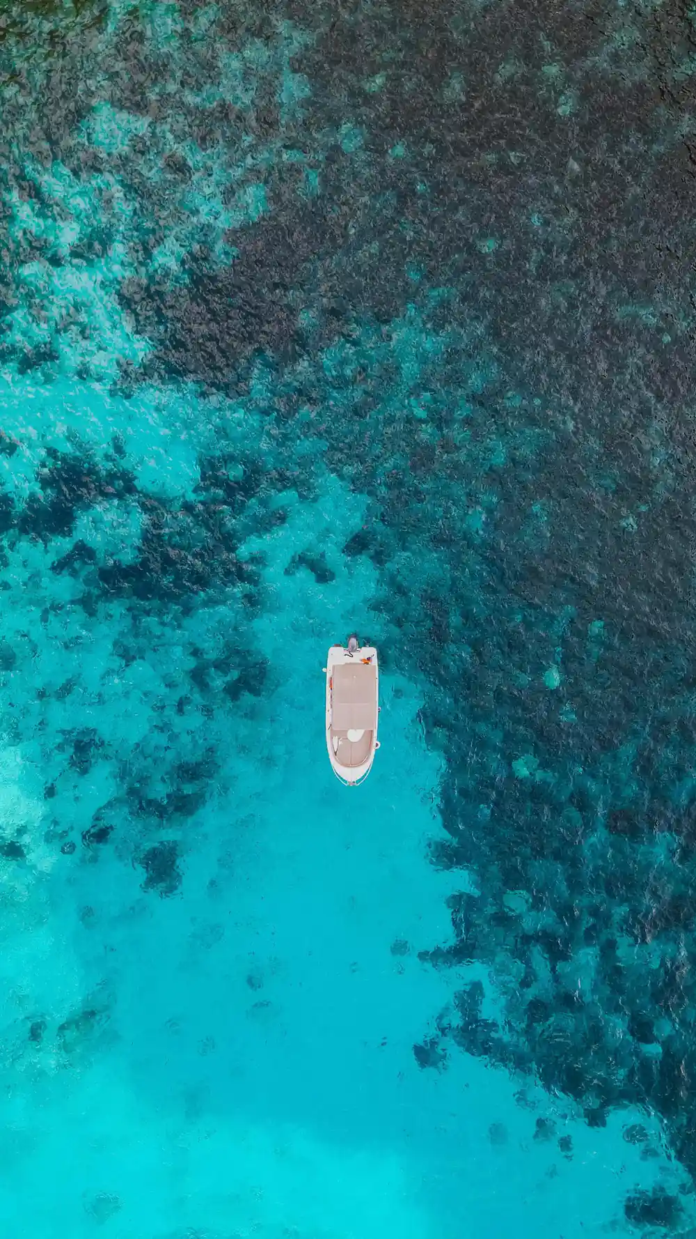 Aerial of a boat over clear water and weed